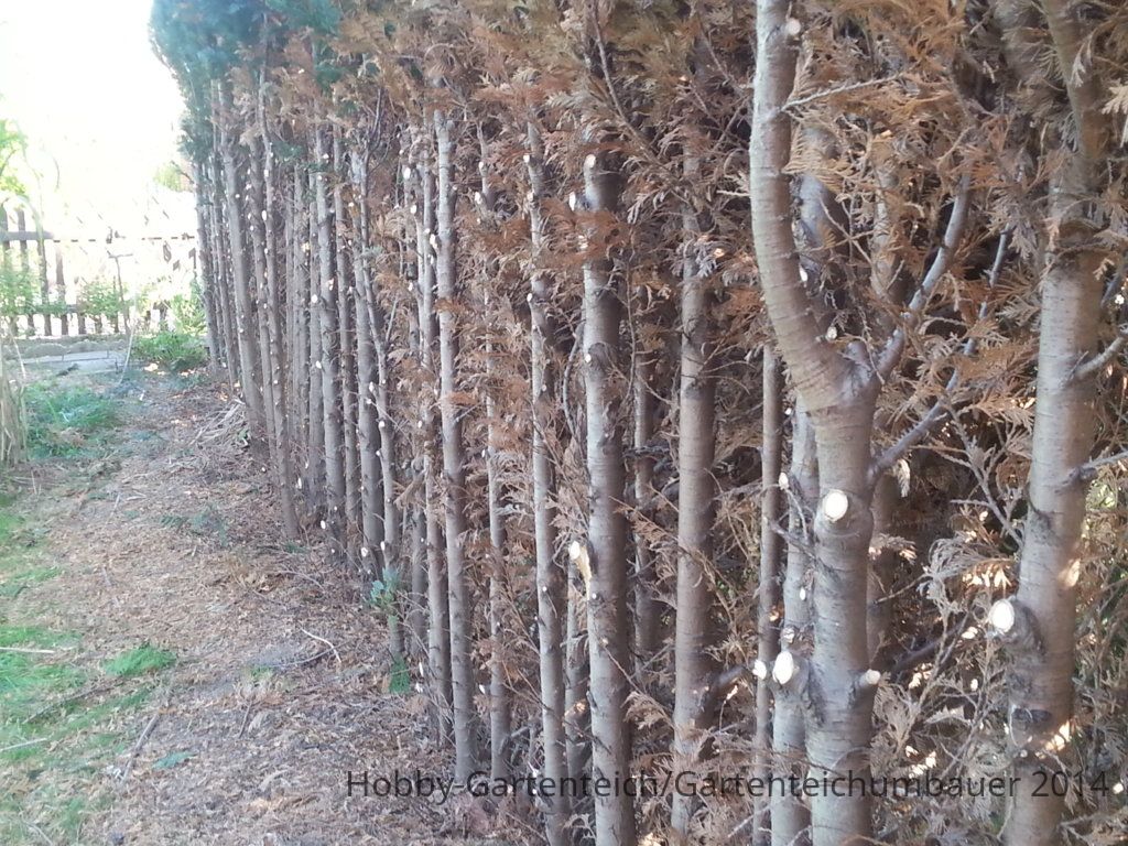 20141004_152632.jpg