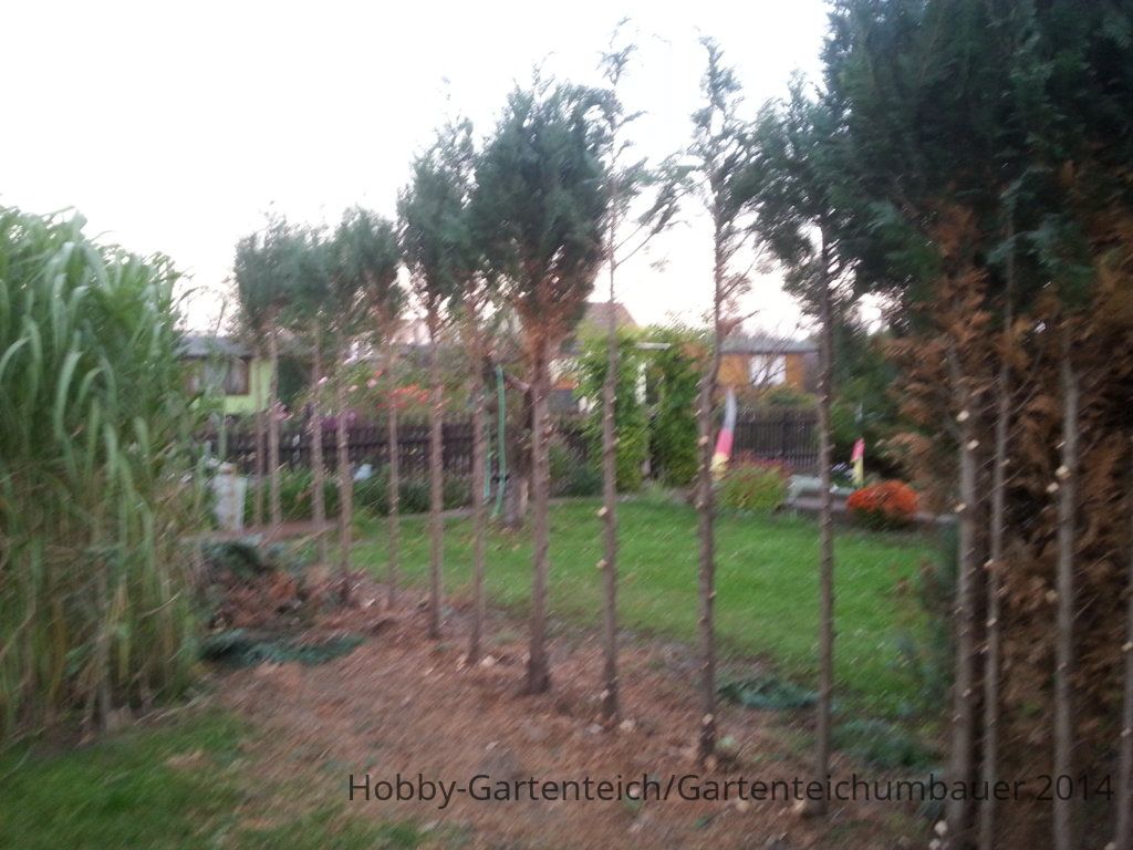 20141004_183459.jpg