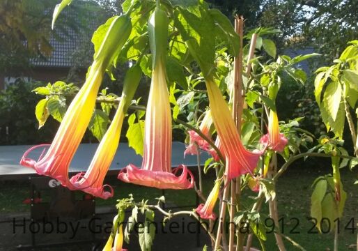 20141005_160410.jpg