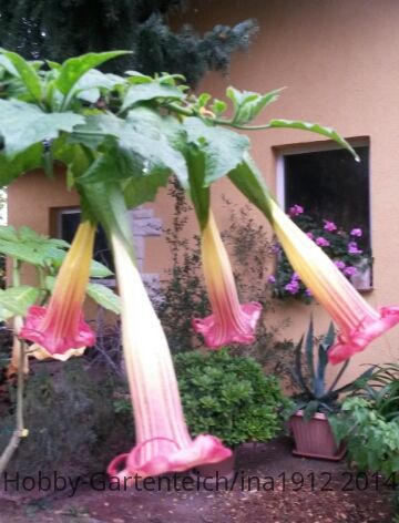 20141008_171547.jpg