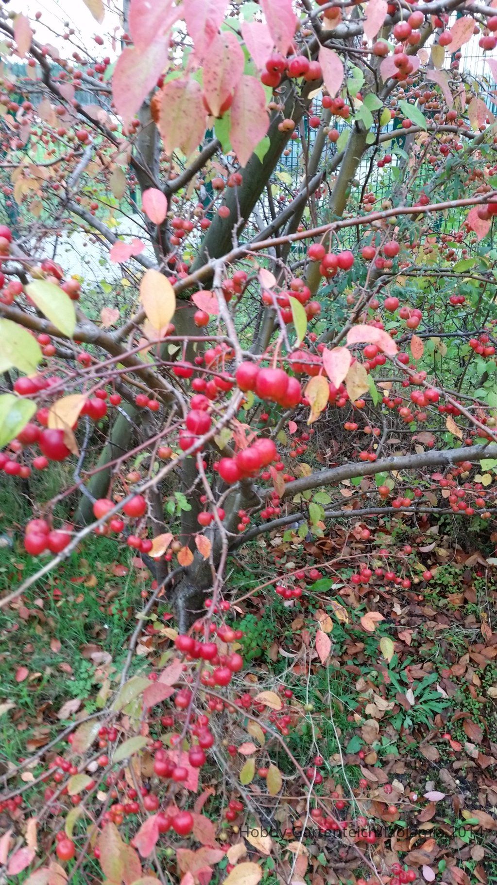 20141017_153217.jpg