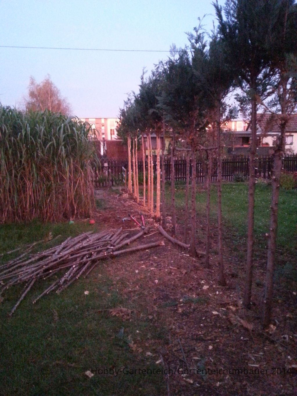 20141018_182941.jpg