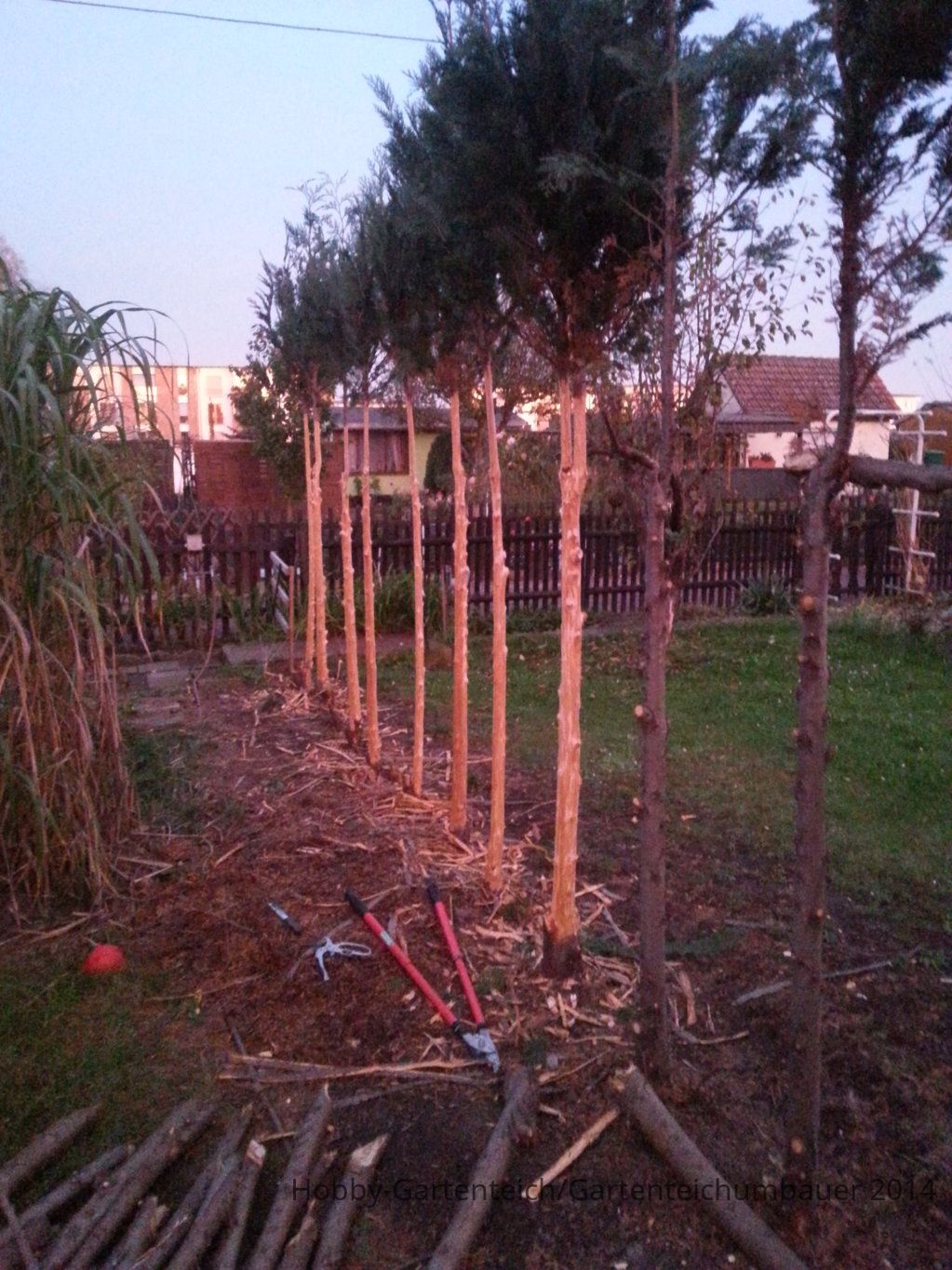 20141018_182949.jpg