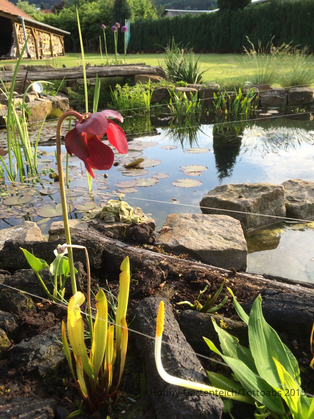 2015.05.28 043.jpg