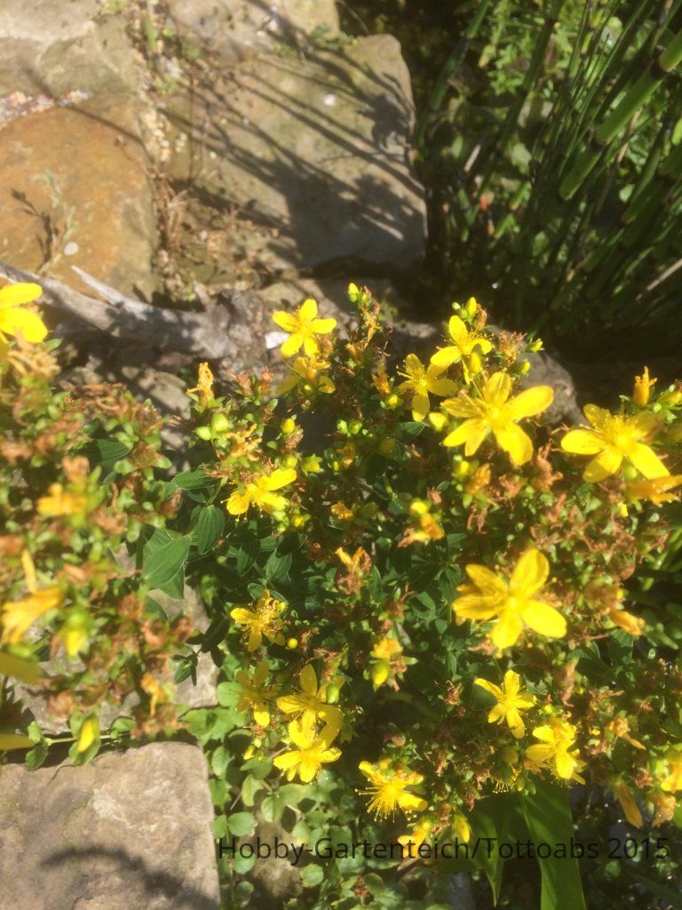 2015.07.24 020.jpg