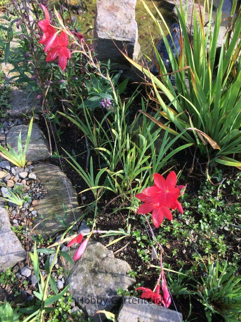 2015-09-18 002.jpg