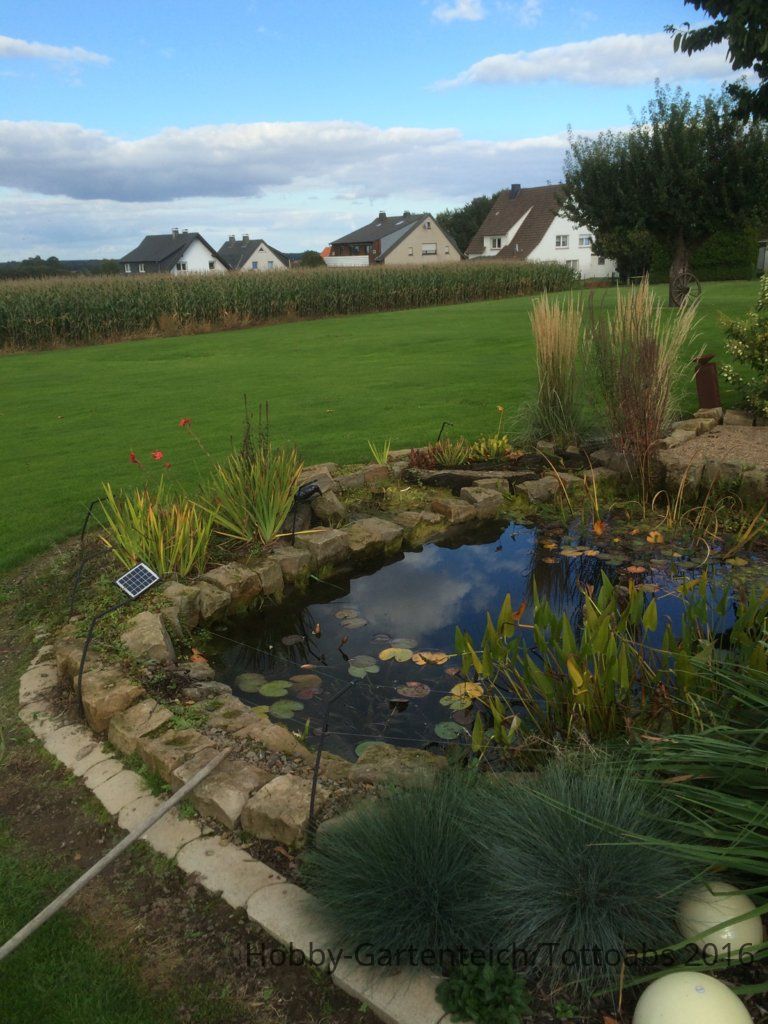 2015-09-27 004.jpg