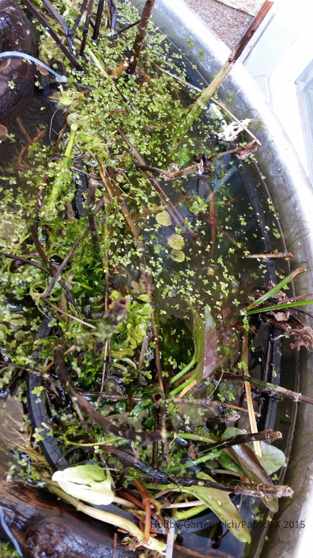 20150317_105507.jpg