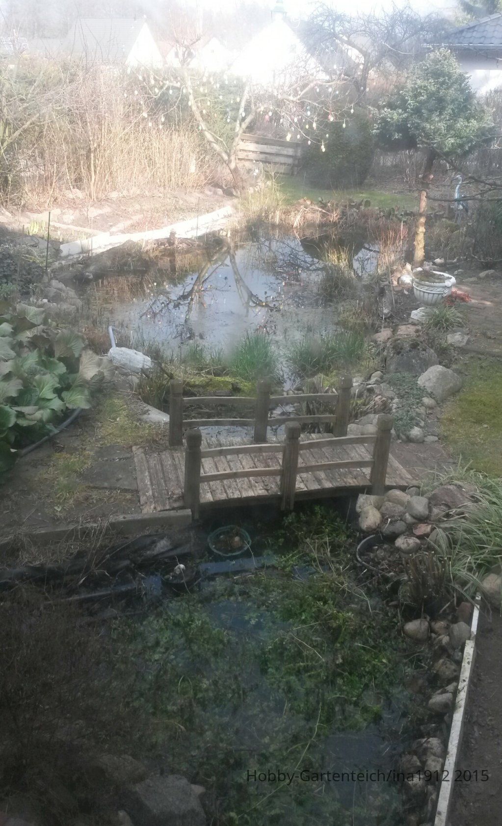 20150328_152707.jpg