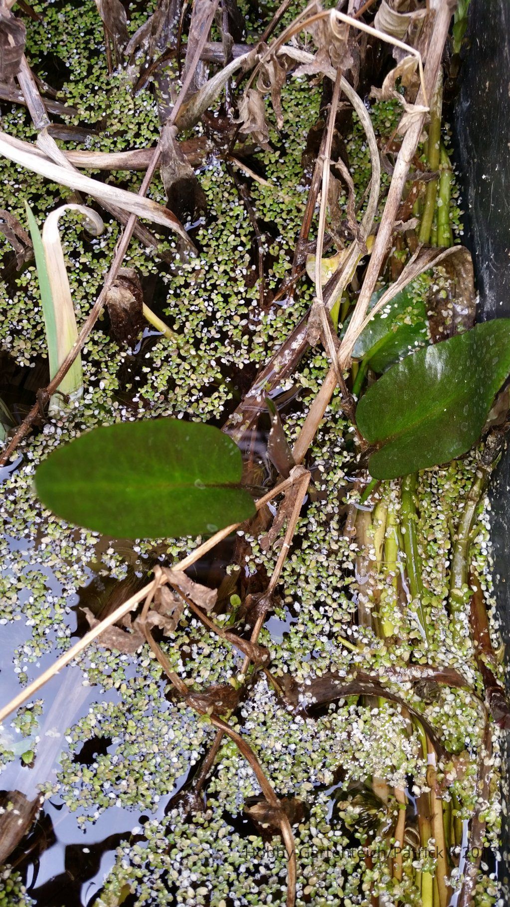 20150410_153602.jpg