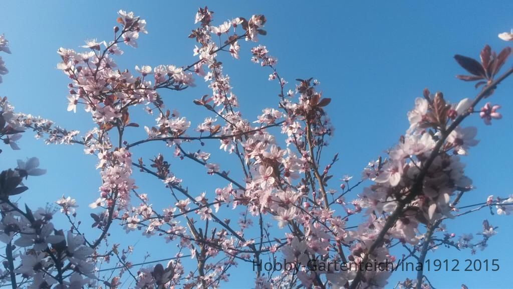 20150415_172802.jpg