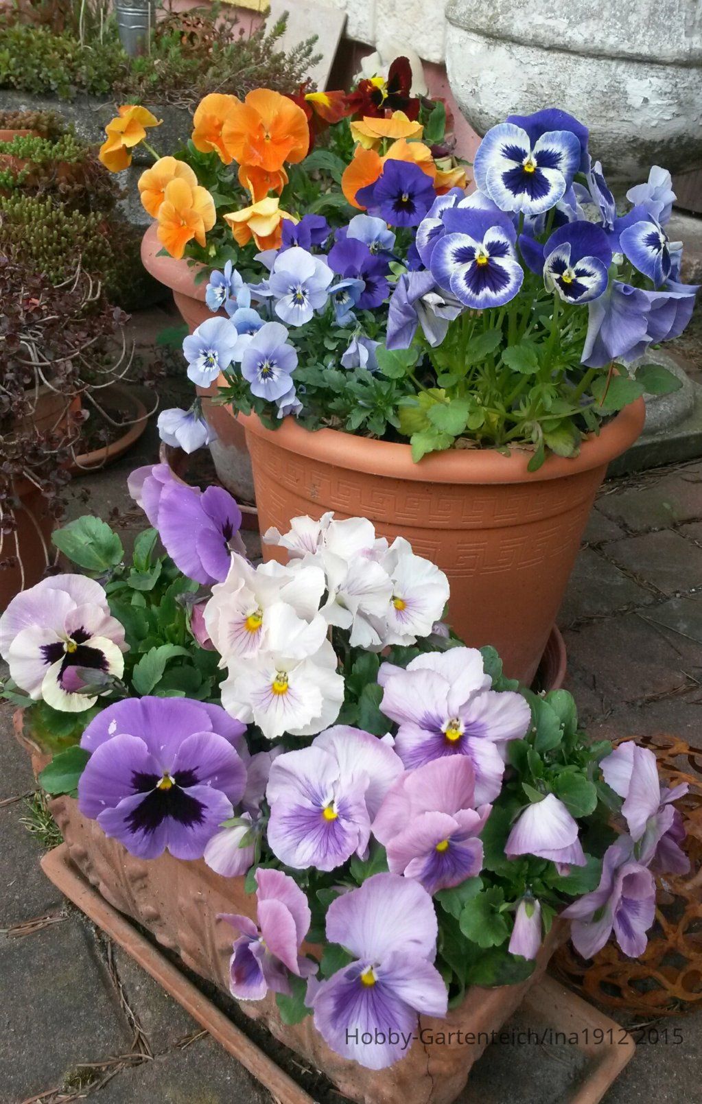 20150422_180727.jpg