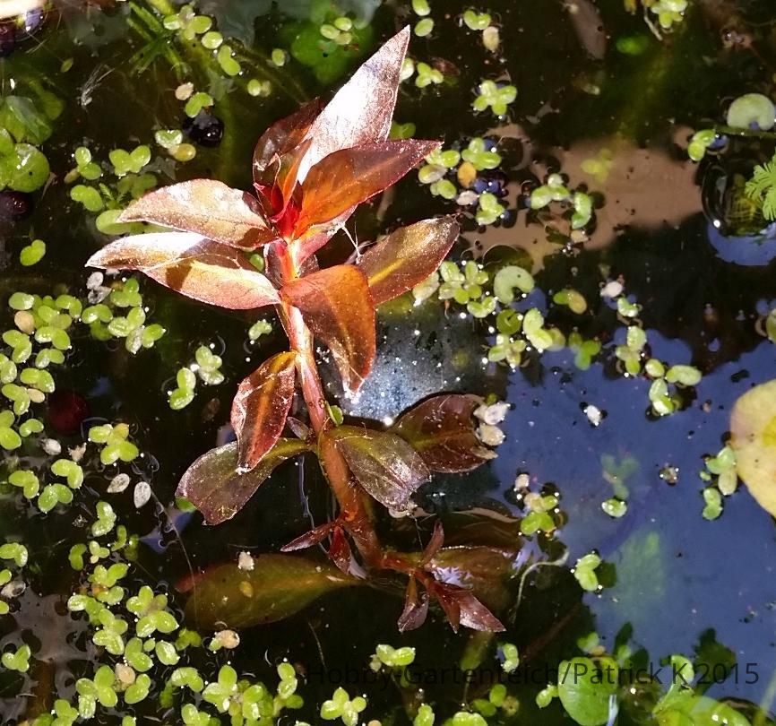 20150423_090242.jpg