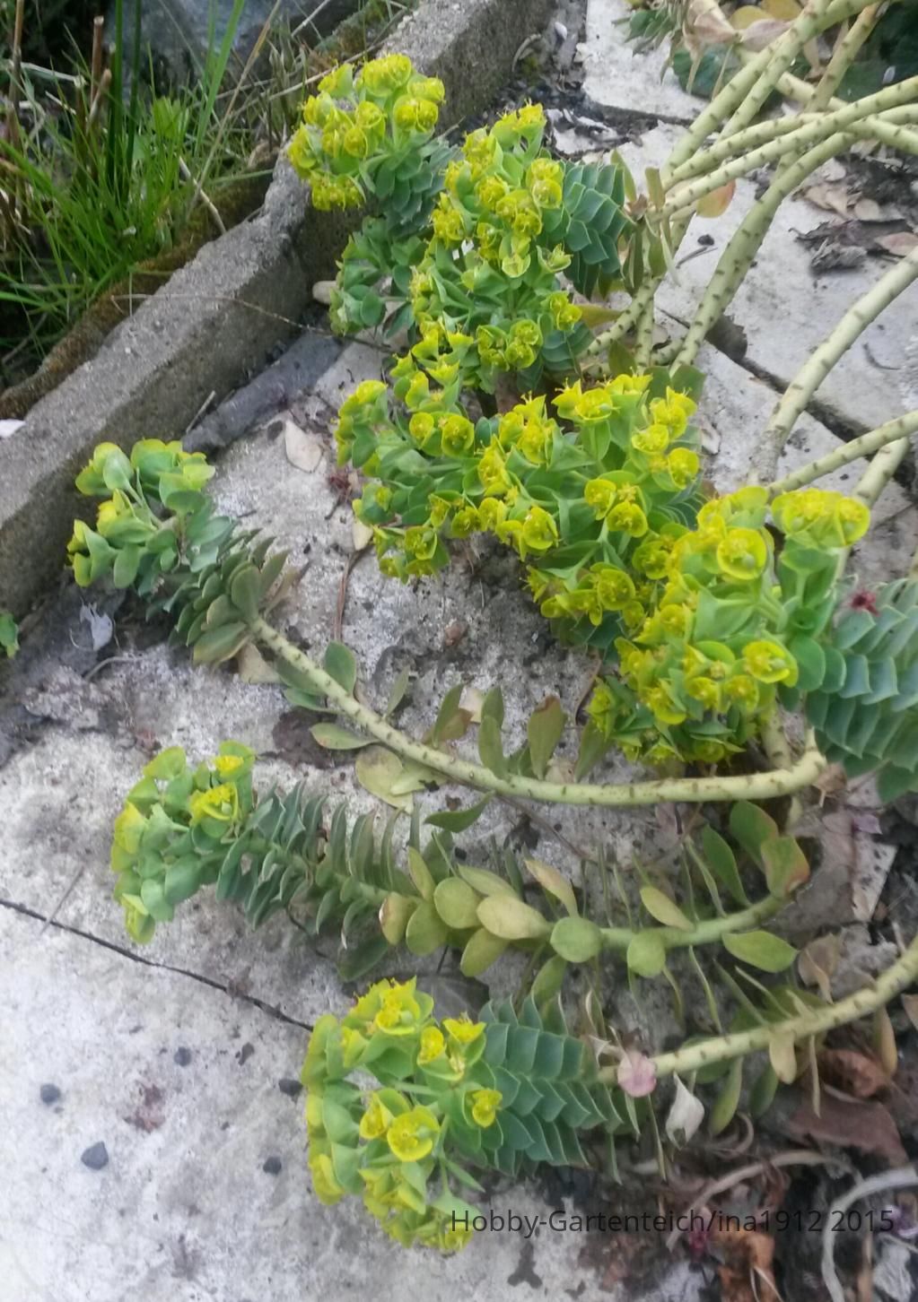 20150424_190909-1.jpg