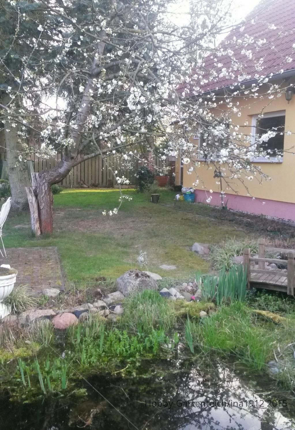 20150424_190946-1.jpg