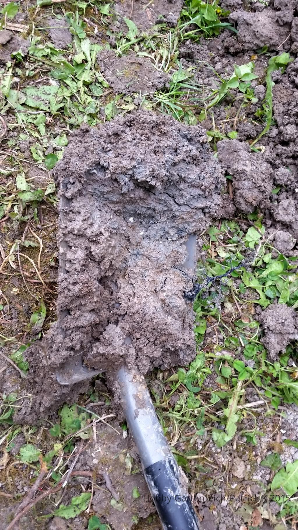 20150425_165058.jpg