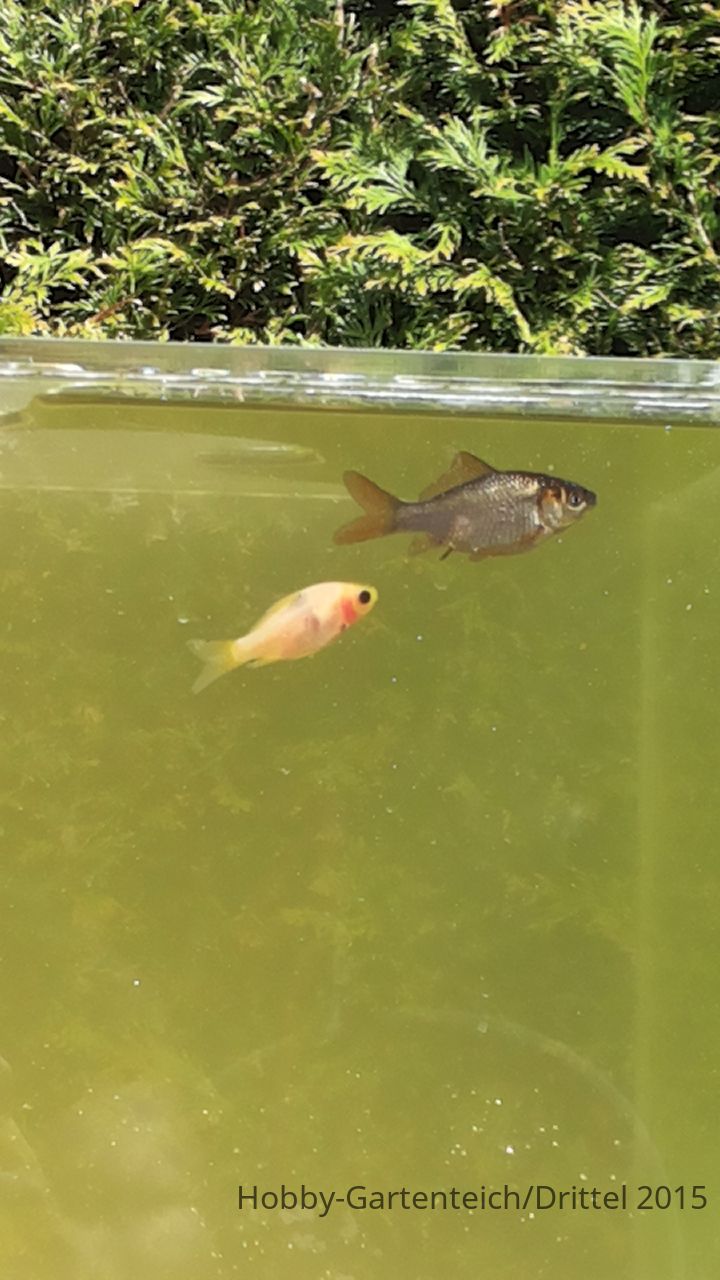 20150426_150933.jpg