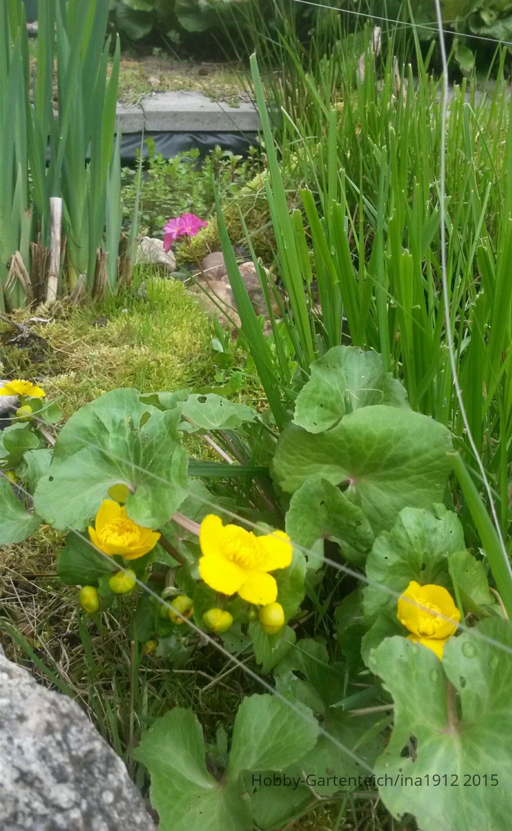 20150502_092959.jpg