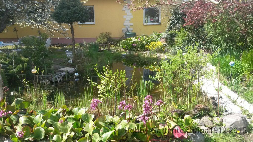 20150502_134227.jpg
