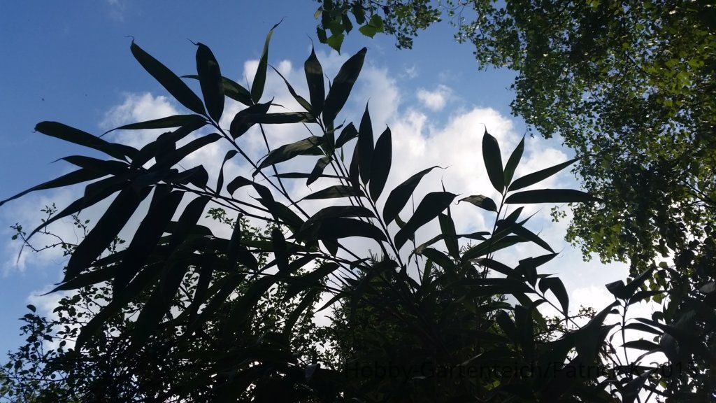 20150505_182731.jpg