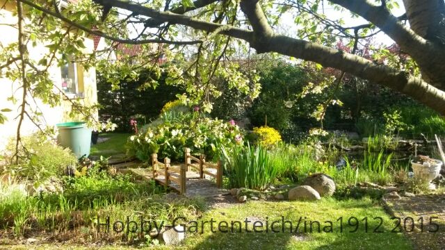 20150506_074625.jpg