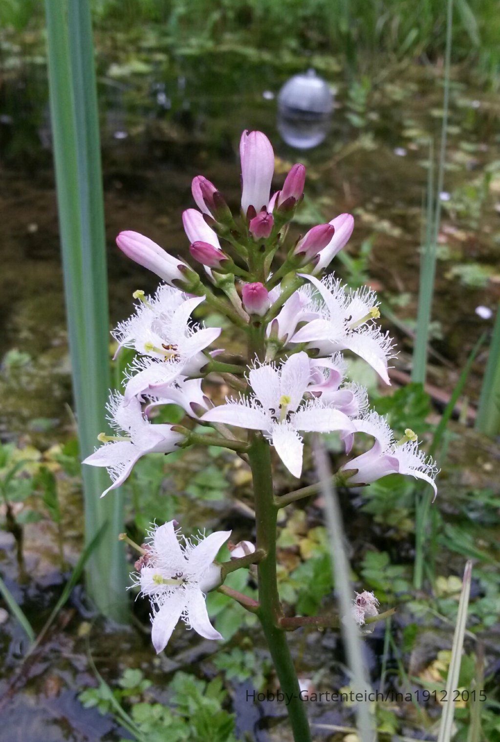 20150508_185416.jpg