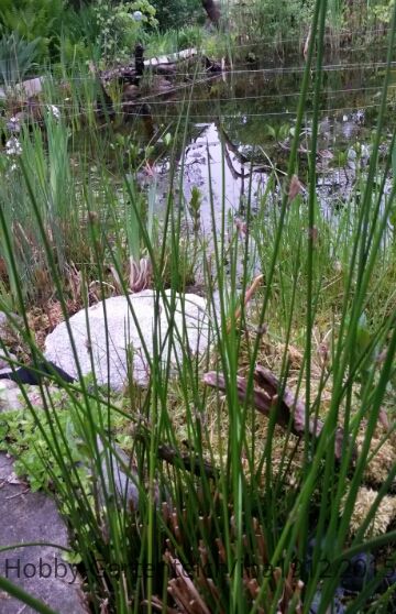 20150508_185807.jpg