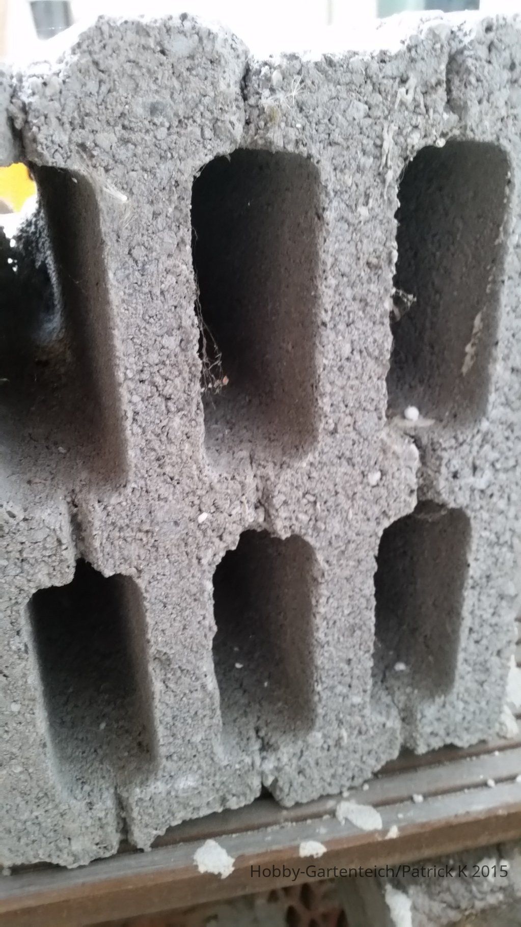 20150510_200655.jpg