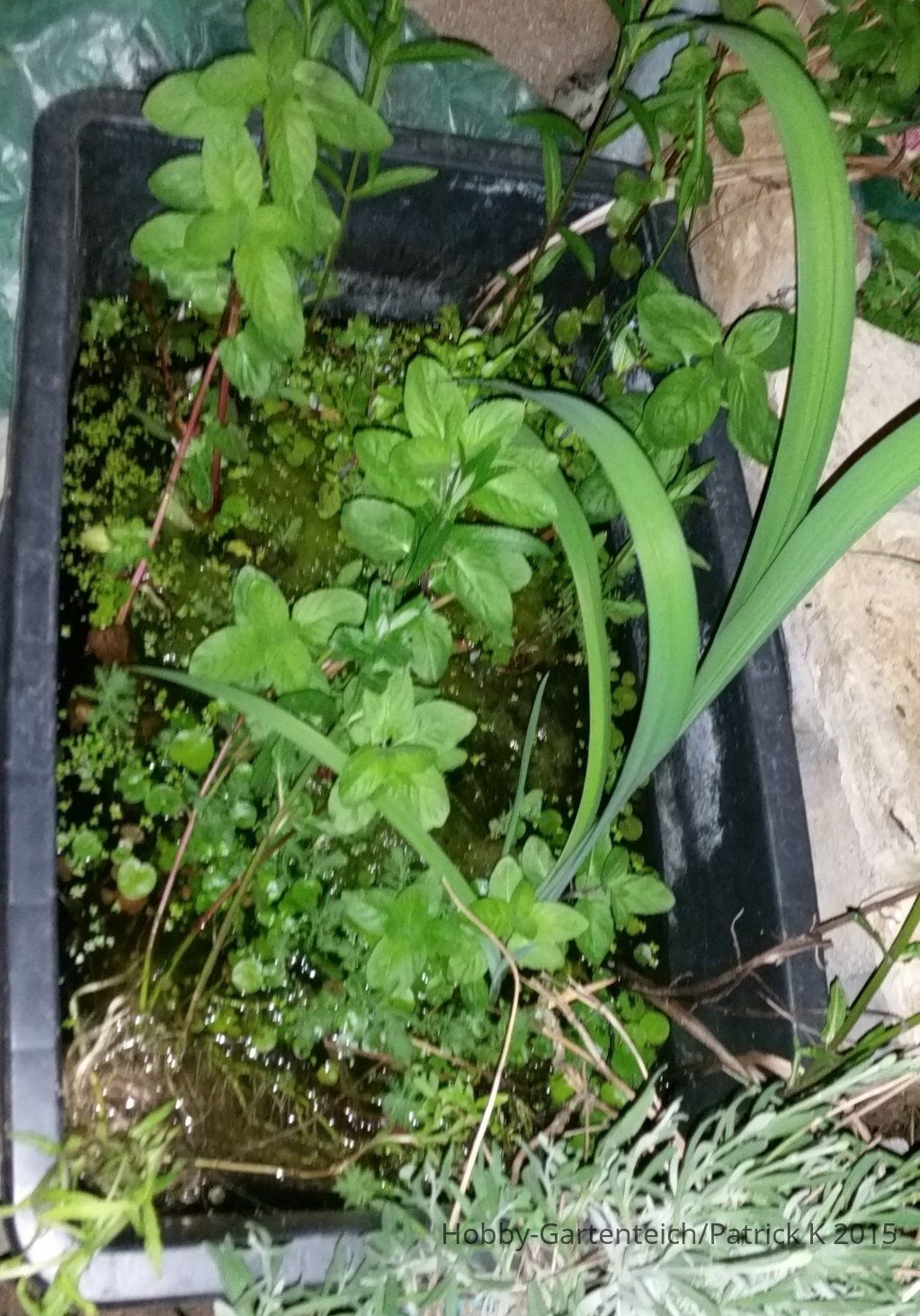 20150511_220104.jpg