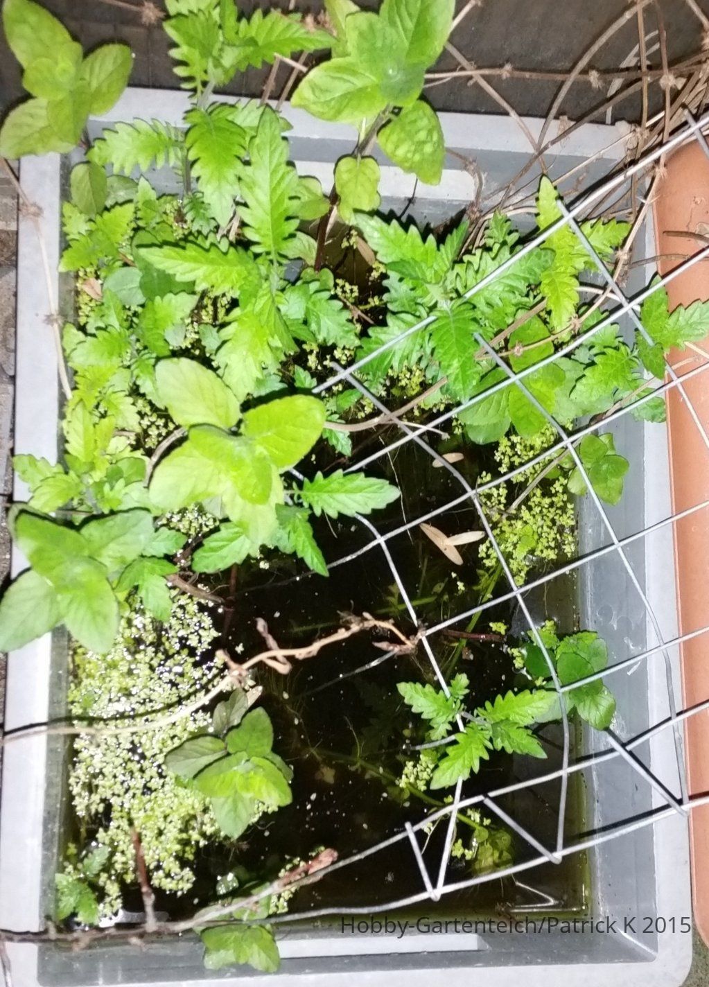 20150511_220232.jpg