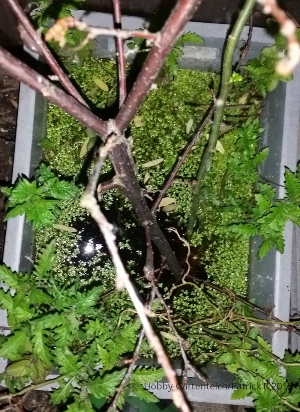 20150511_220238.jpg