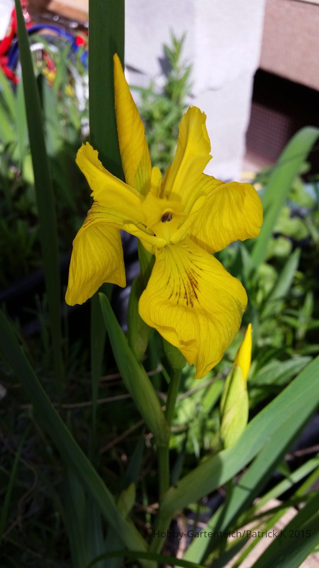 20150512_091649.jpg