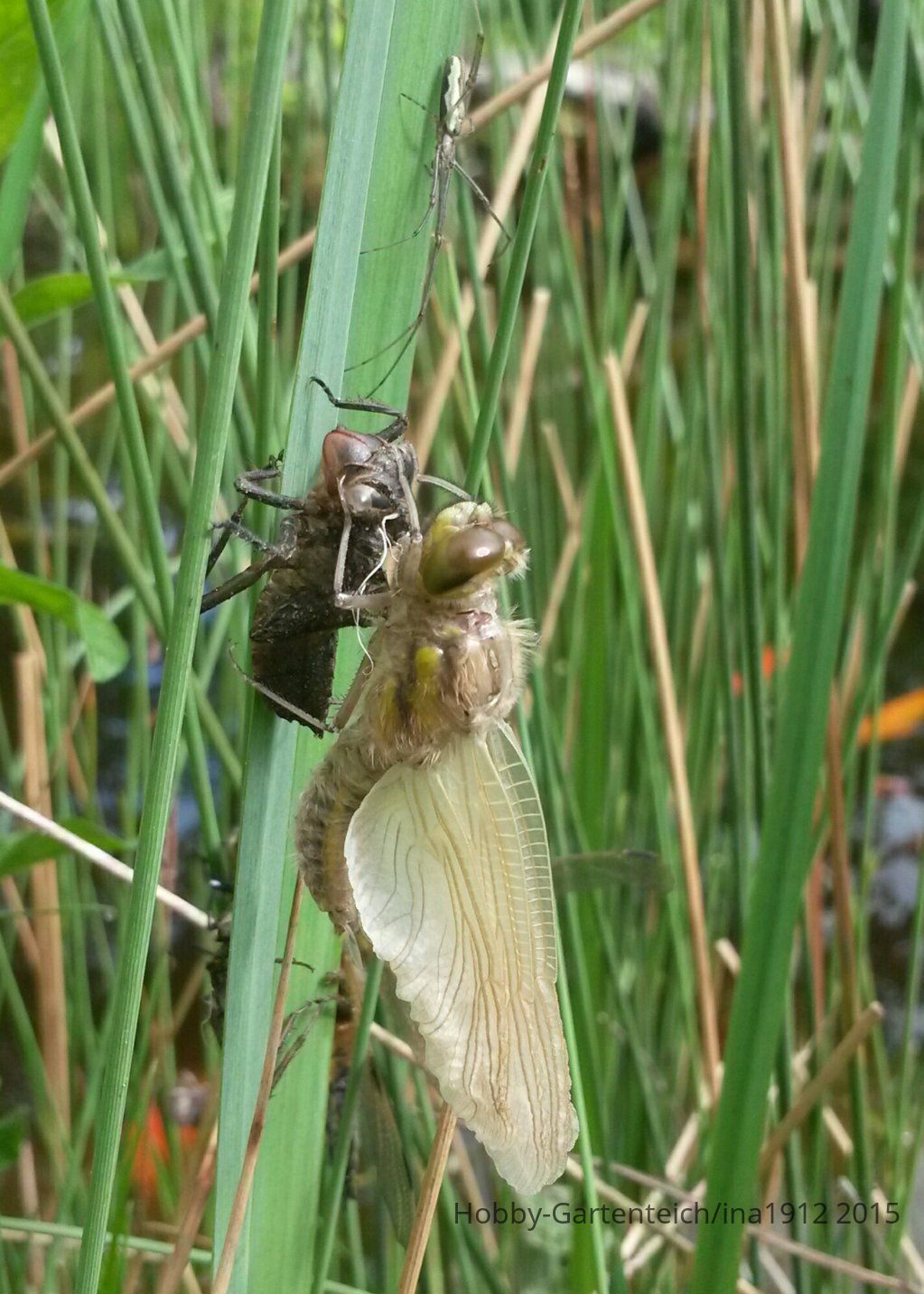 20150515_102344-1.jpg