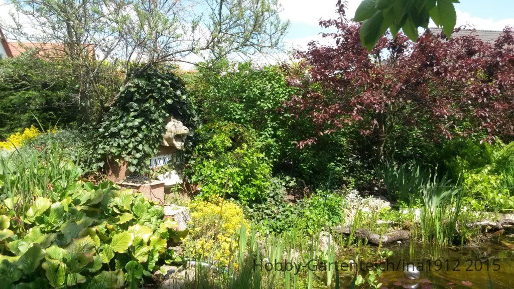 20150515_130321.jpg