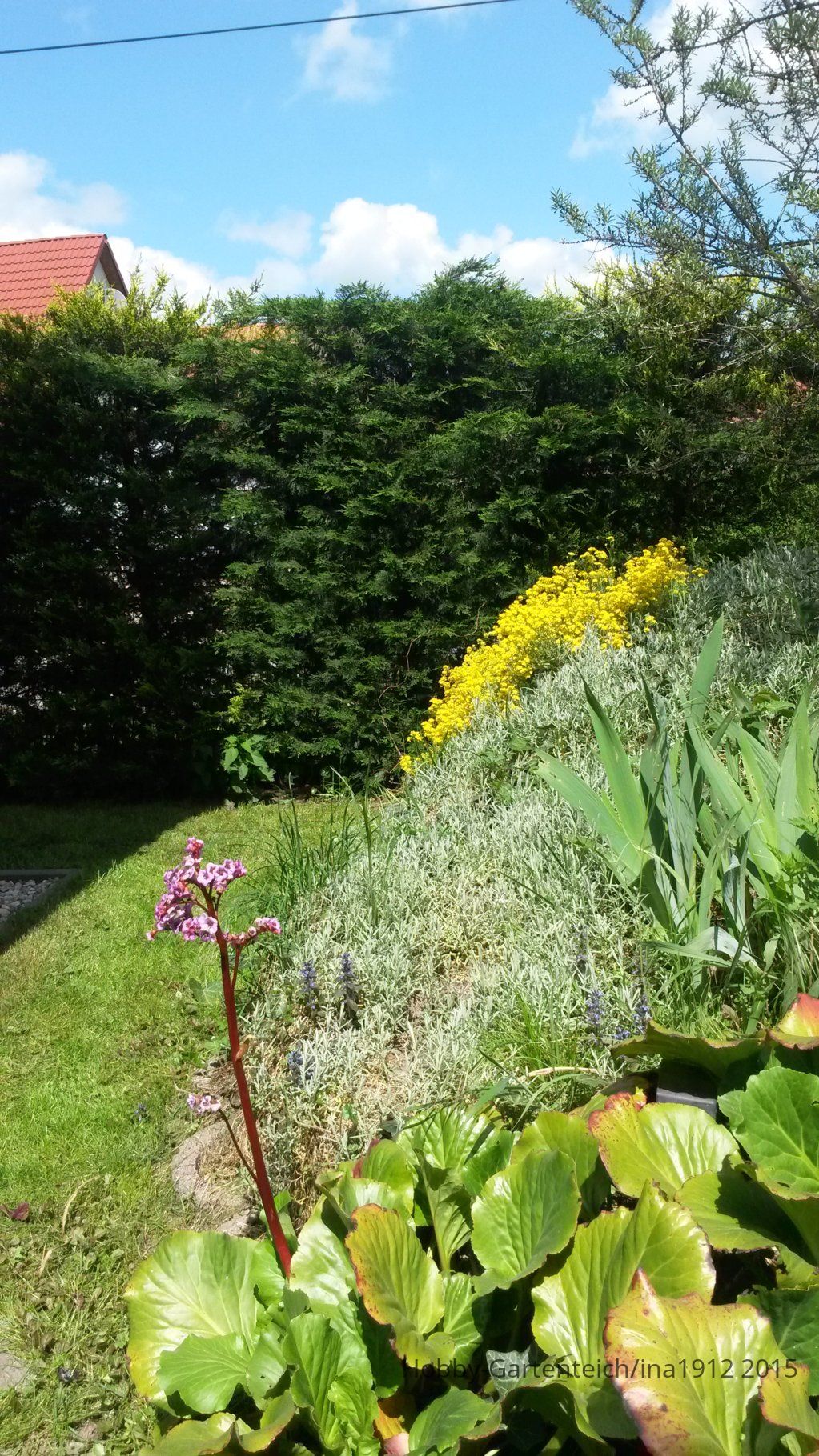 20150515_130342.jpg