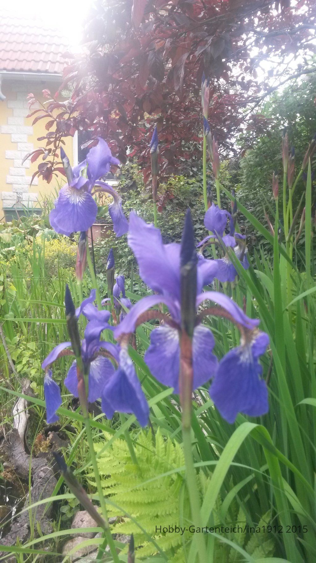 20150520_174451.jpg