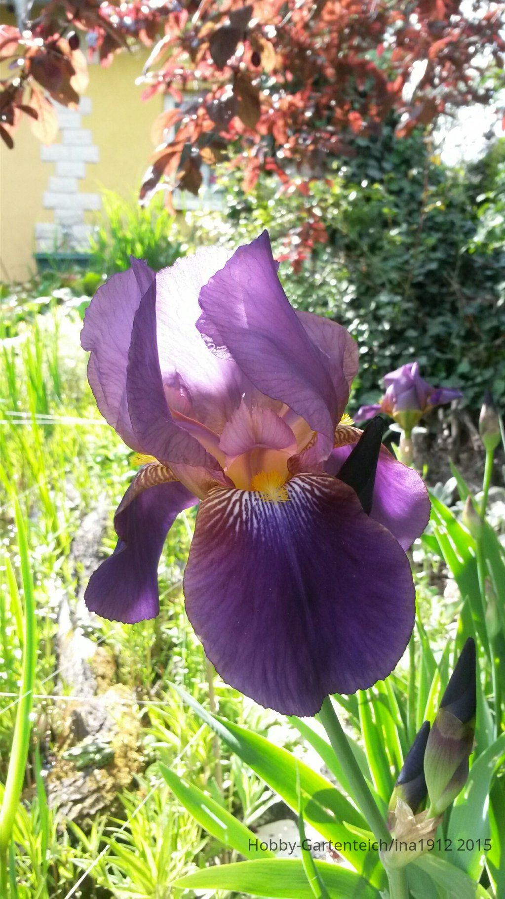 20150522_162313.jpg