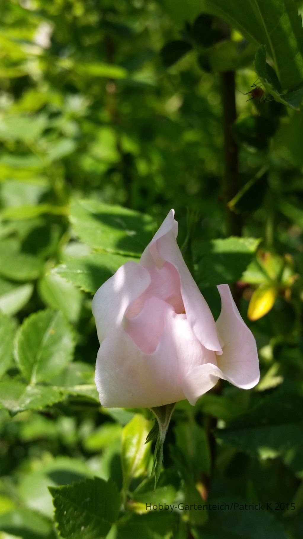 20150522_163217.jpg