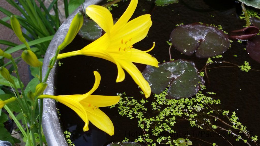 20150523_164142.jpg