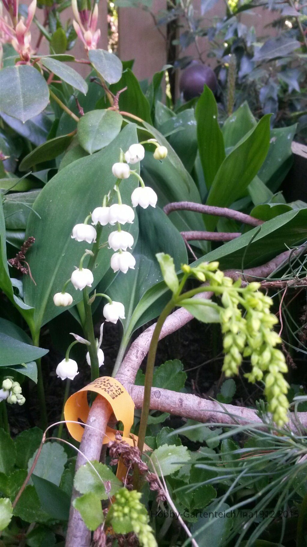 20150524_180618.jpg