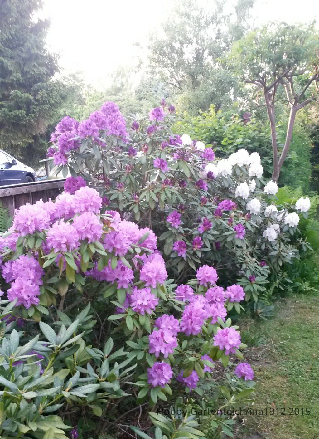 20150525_201009.jpg