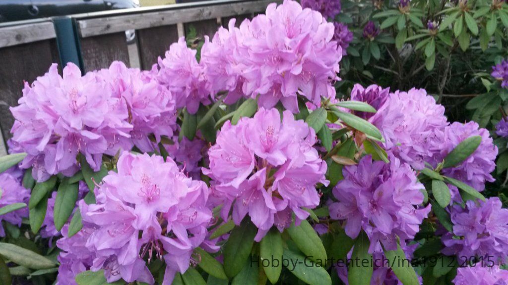 20150525_201127.jpg