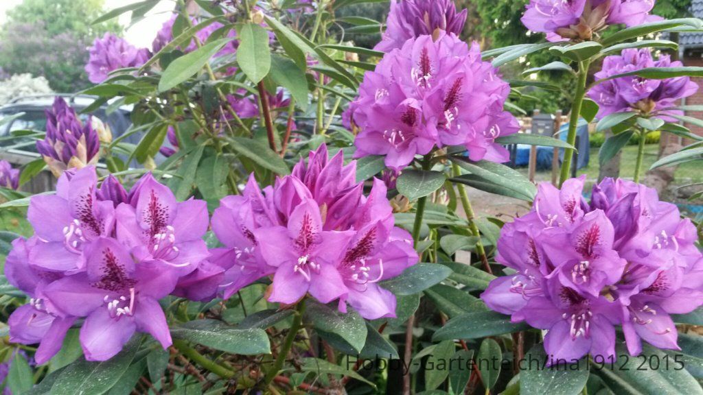 20150525_201153.jpg