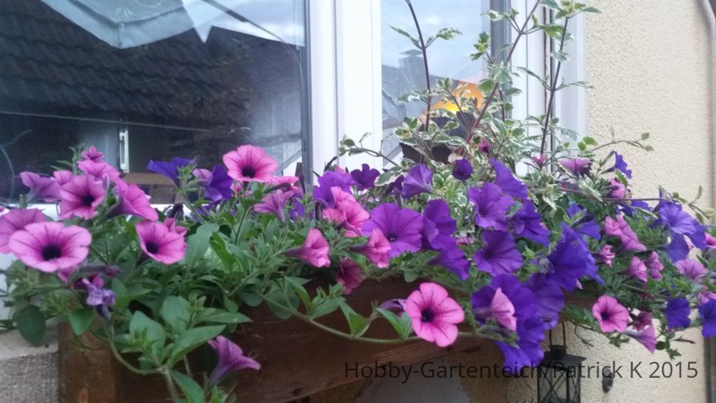 20150525_205636.jpg