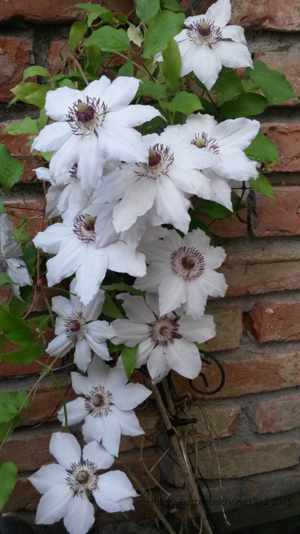 20150530_183018.jpg