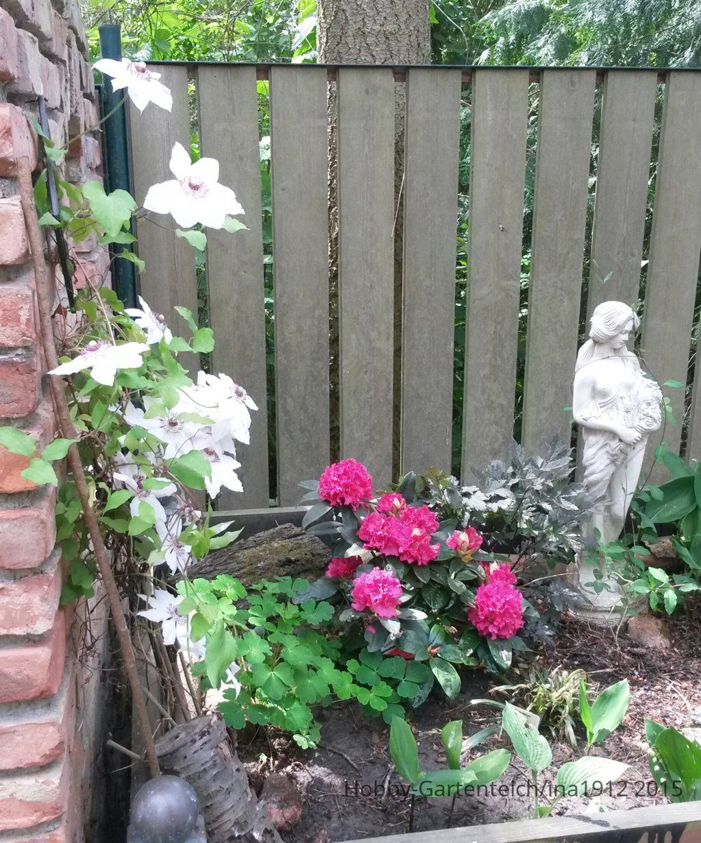 20150531_114611-1.jpg
