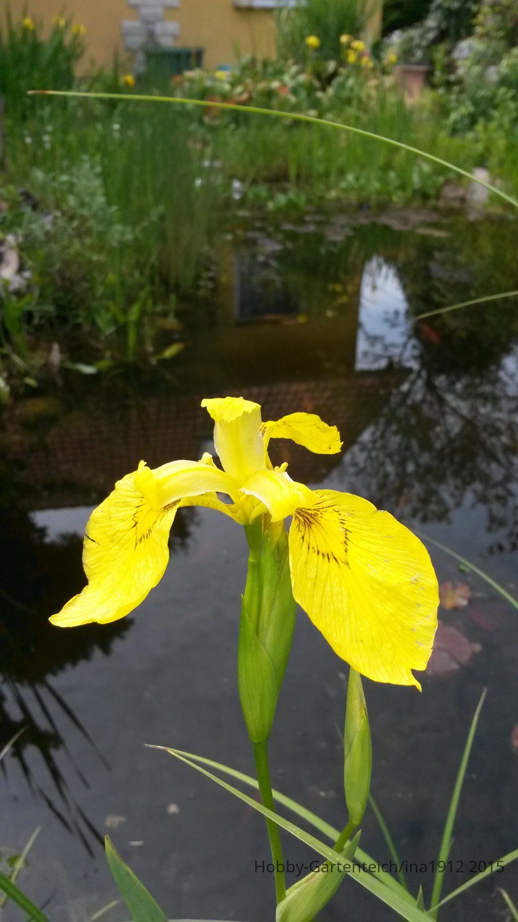 20150531_140249.jpg