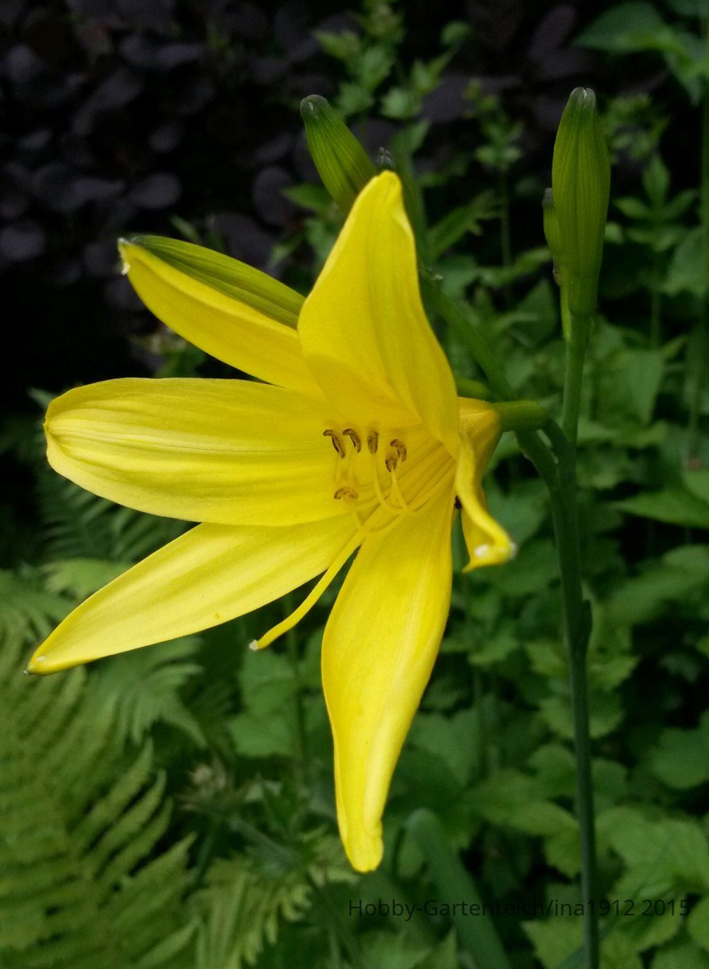 20150531_140302-1.jpg