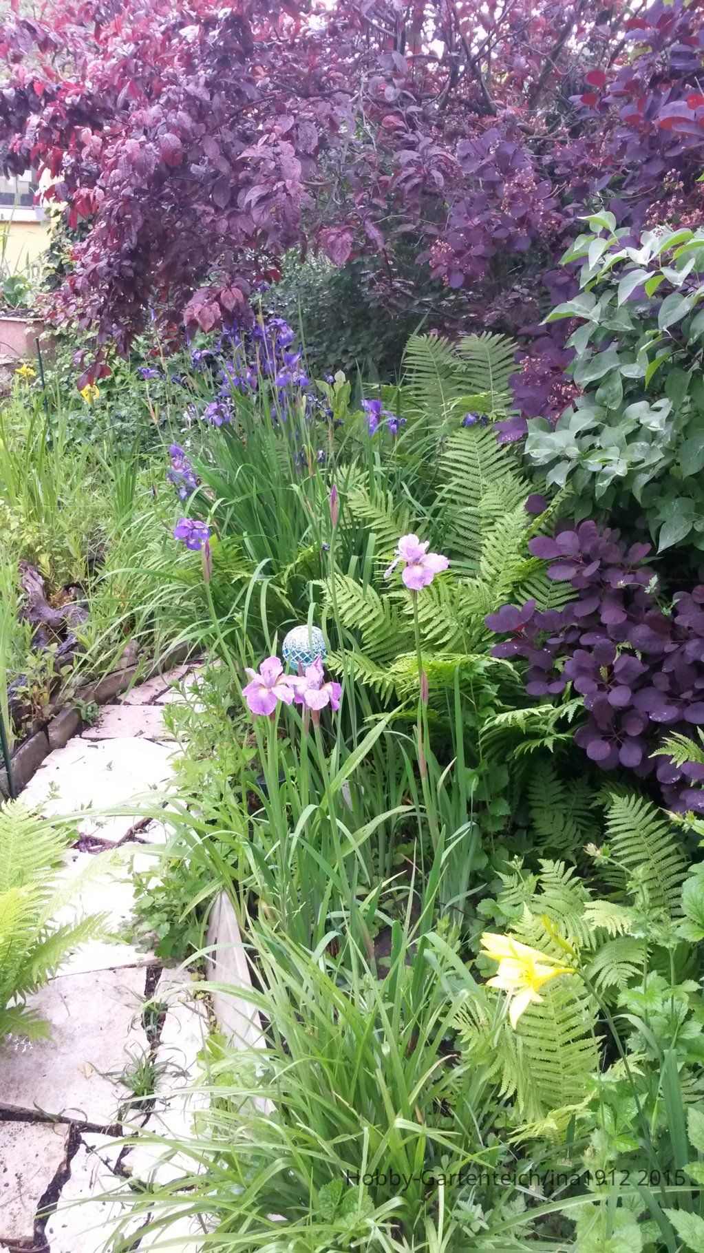 20150601_192747.jpg