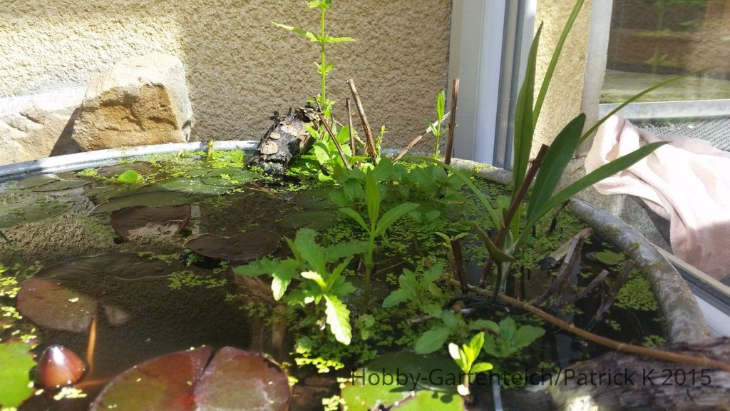 20150605_101807.jpg